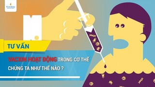 Vacxin hoạt động trong cơ thể chúng ta như thế nào?