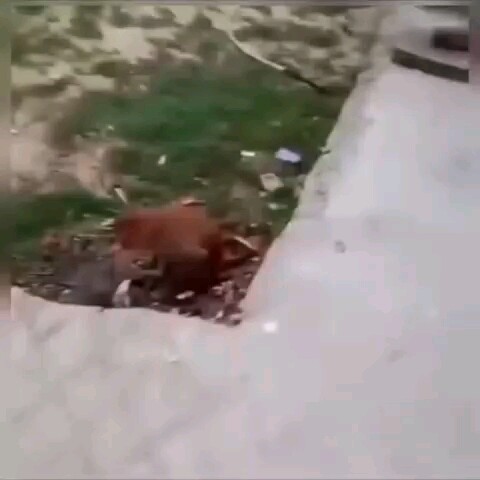 เป็นคนเดินทางไร้จุดหมาย ไม่สู้เป็นผู้โดยสารที่มีฝัน