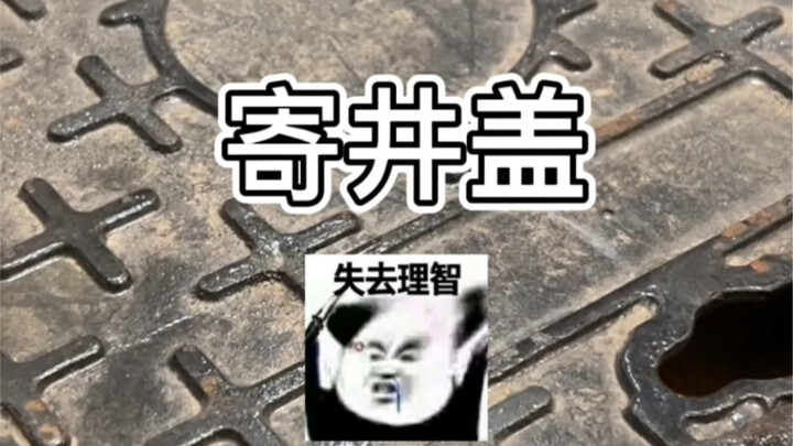 《收到了井盖》