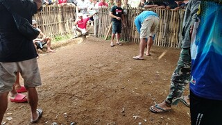 iba talaga pag may buwis