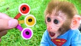 Monkey Baby Bon Bon and puppy eat Eyeballs and harvest fruit in the garden