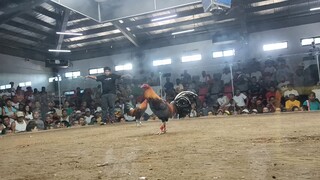 march 4 2hits @ blue diamond, 2 fight win