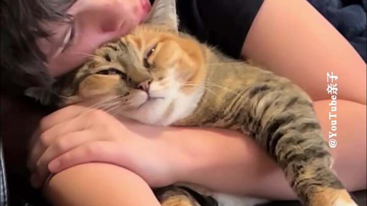 เด็กชายกับแมวตัวน้อย