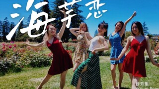 当《海芋恋》盛开在夏天，颜色明媚且热烈🌷｜复古爵士翻跳