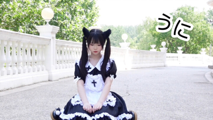 喜欢猫猫吗？「うに」