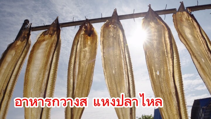 อาหารกวางสี แห้งปลาไหล