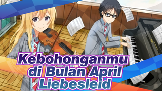 [Kebohonganmu di Bulan April] Liebesleid (Kesedihan cinta), Kreisler, Cover Piano&Biola