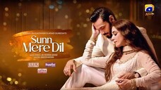 Sunn Mere Dil Ep 31