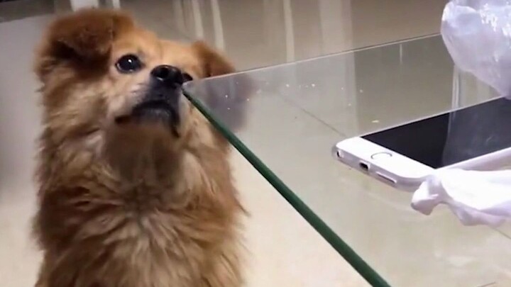 Mấy hôm nay tôi phát hiện mình thích ăn xương quá rồi