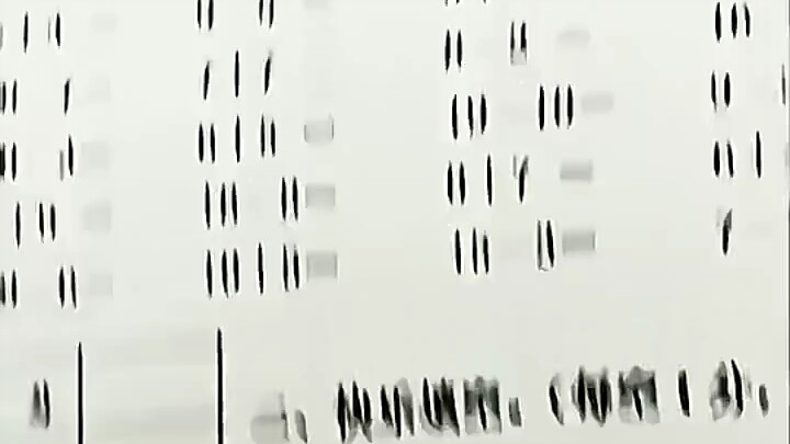 That First Grade Exam Is Just a Lie You Told Me