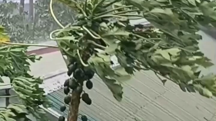 父母给的叫背景。自己打的才叫江山