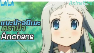 แนะนำอนิเมะดราม่า Anohana | ดอกไม้มิตรภาพและความทรงจำ