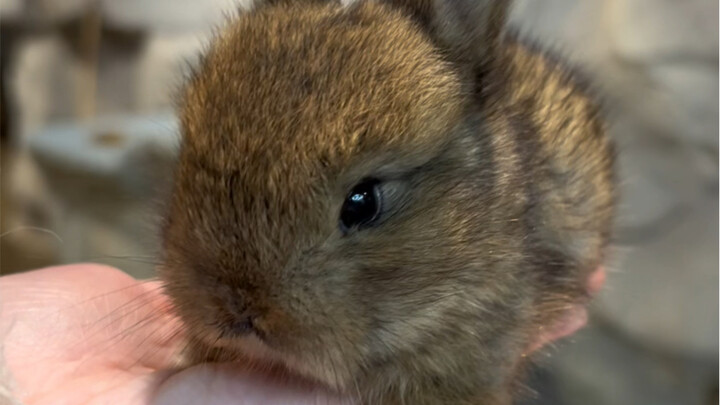 Now you can finally tell the difference, right?