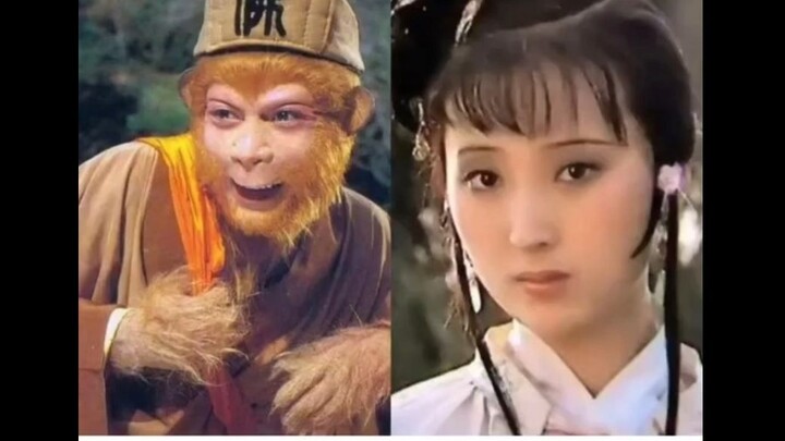 What do you think would happen if Sun Wukong and Lin Daiyu got along?