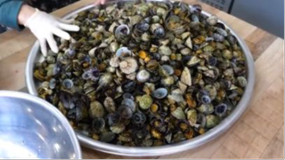 Ramen mực ulleungdo, sò biển, mì ổ#amthuc #monngon