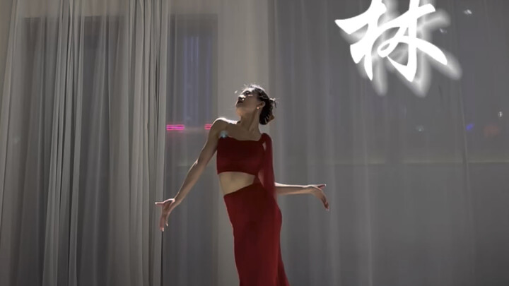 雨林完整版