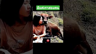 มีแค่เราสองคน