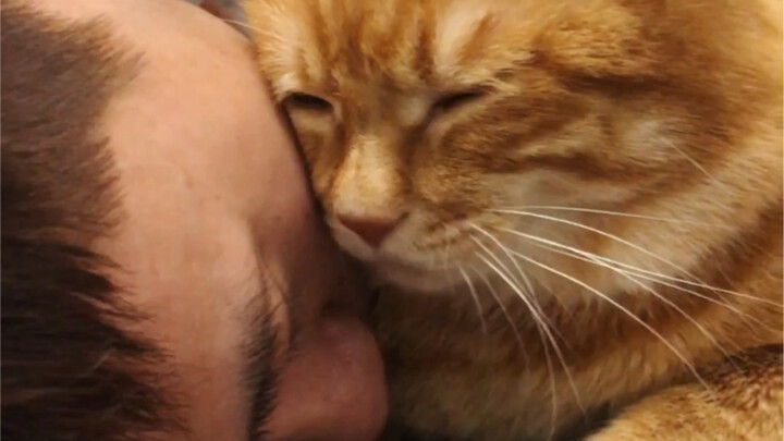 Tại sao cùng một động tác mà chênh lệch lớn vậy nhỉ…?