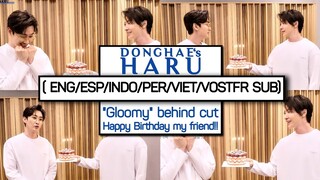 [ENG/ESP/INDO/ARB/PER/VIET SUB] 은혁 생일기념 디앤이 D&E 우울해 “Gloomy” behind cut! Happy birthday to my friend