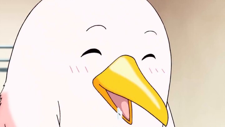 The last ingredient of the legendary soup of the century is actually the saliva of a little penguin?
