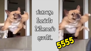 รวมคลิปตลกๆ : โดดยังไงให้โลกจำ!??