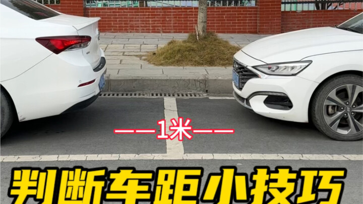 Cara menilai jarak di sekitar bodi mobil saat duduk di dalam kendaraan untuk menghindari lecet #peng