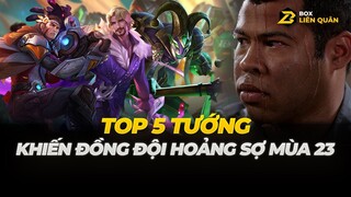 Top 5 tướng khiến đồng đội HOẢNG SỢ mùa 23 | Box Liên Quân