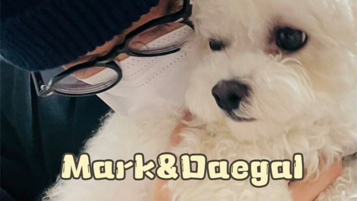 Mark&Daegal ｜【Mã Lạc】Đứa bé Đới Ca của Mark và Trần Nhạc! Hóa ra cả hai ngày Valentine đều cùng nhau