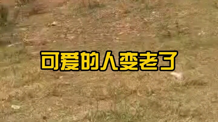 Bermain dari belum punya gigi hingga sudah tak punya gigi