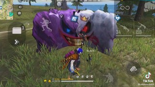 Free Fire