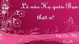 LẼ NÀO HỌ QUÊN BẠN THẬT Ư? - CÁN CÂN NHỎ ORACLE