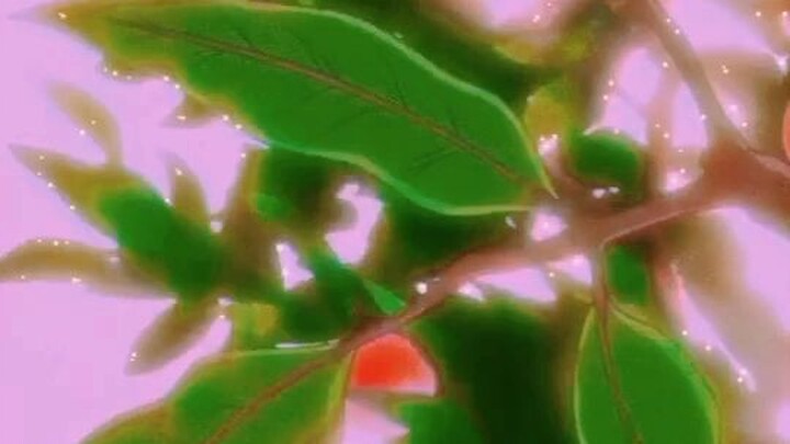 POKO-POKO BEAUTY💮