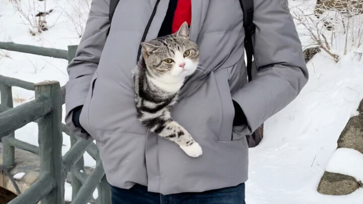 في يوم الثلج، من منا لا يحتضن صغيرًا لطيفًا في حضنه؟