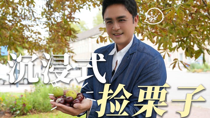 “A Giant Chestnut Adventure”