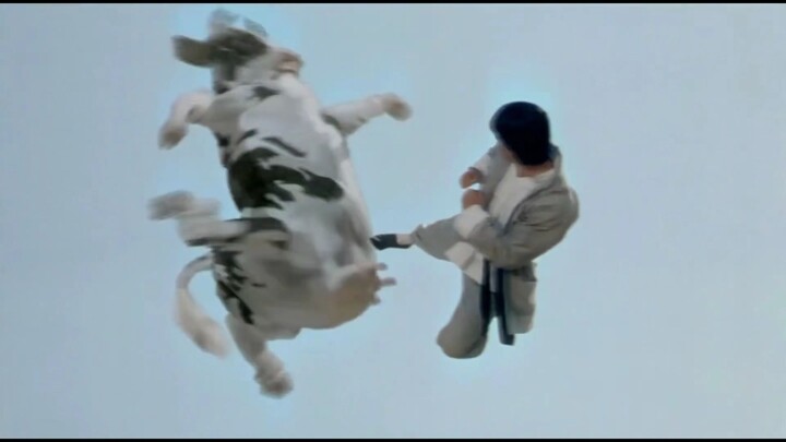Human vs. bull showdown, but AIZO makes a miraculous intervention