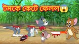 Tom and Jerry || Tom and Jerry Bangla || Bangla Tom and Jerry || Tom and Jerry cartoon