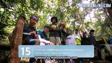 Law of the Jungle Episode 177 Eng Sub #cttro