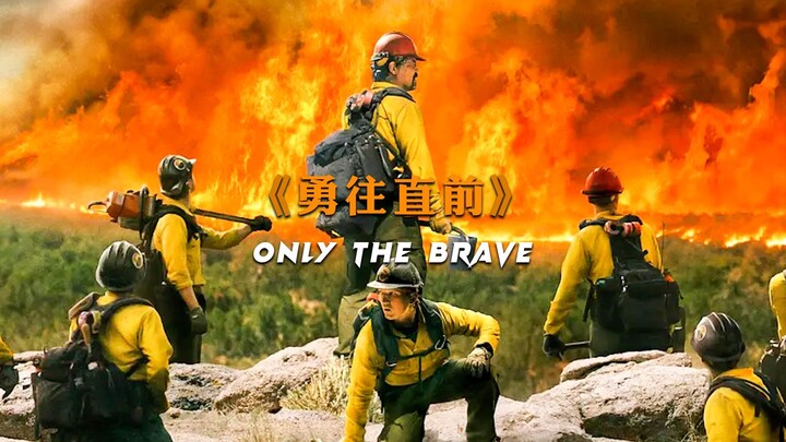 Cổ thụ vẫn còn, anh hùng đã khuất