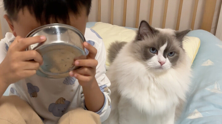 It turns out my cat was the first to notice that the baby was sick—so heartwarming! #CatsRaisingKids