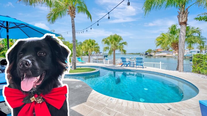 Bring your Furry Friend with you on vacation to these Florida Vacation Homes!