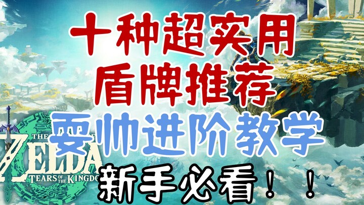 【Tears of the Kingdom】Panduan Besar/Tips Wajib Dilihat Pemula/Pelajaran Lanjutan untuk Tampil Keren 