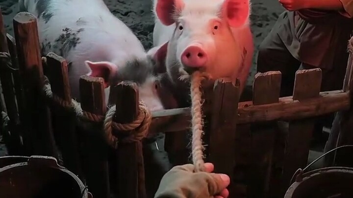 First-person perspective: experiencing a day in the life of a Song Dynasty butcher.
