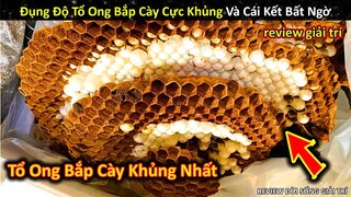 Đụng Độ Tổ Ong Bắp Cày Khủng Nhất Từ Trước Đến Nay Và Cái Kết || Review Giải Trí Đời Sống