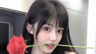 High-quality beauty collection 25