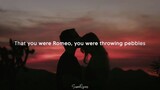 Love Story by Taylor Swift (lyrics)"romeo save me"