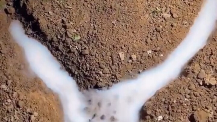 “Những điều thú vị dành tặng người bạn yêu thương”