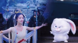 Tian Huan Ye Bingshang, tapi Bos Kelinci