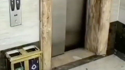 ผู้ได้รับรางวัลการคัดเลือกโดยธรรมชาติของดาร์วิน