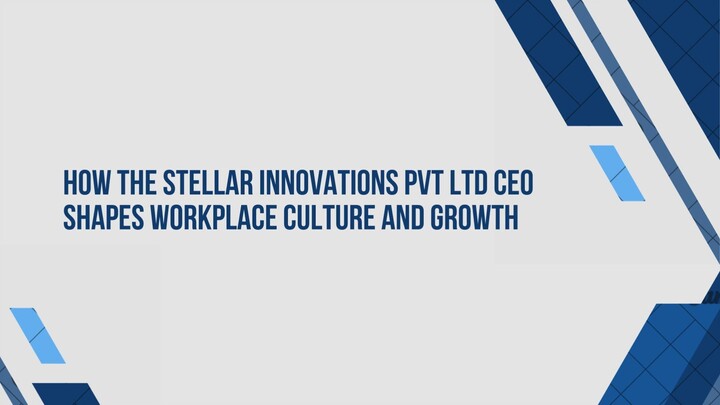 How the Stellar Innovations Pvt Ltd CEO Shapes Workplace Culture and Growth