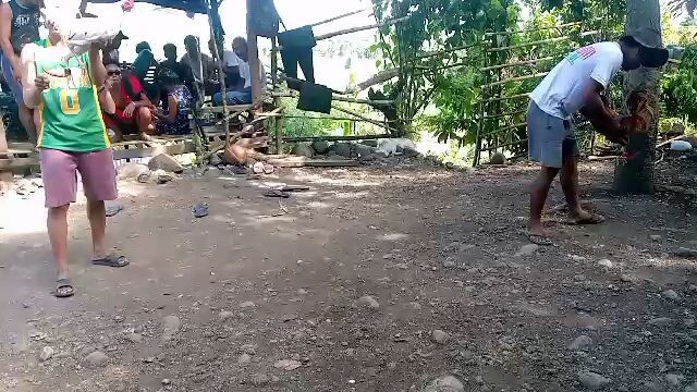 tapang Ng puti
